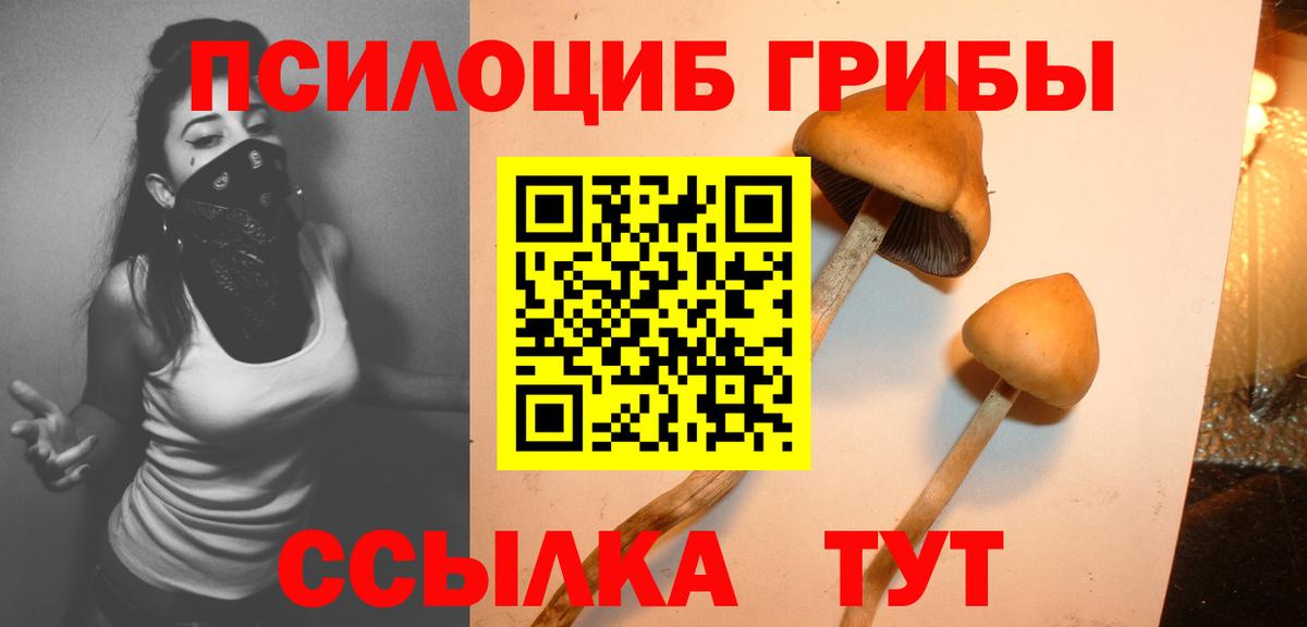 Псилоцибиновые грибы Psilocybine cubensis  Вход с VPN  что такое наркотик  Псилоцибиновые грибы мухоморы  Боровичи 