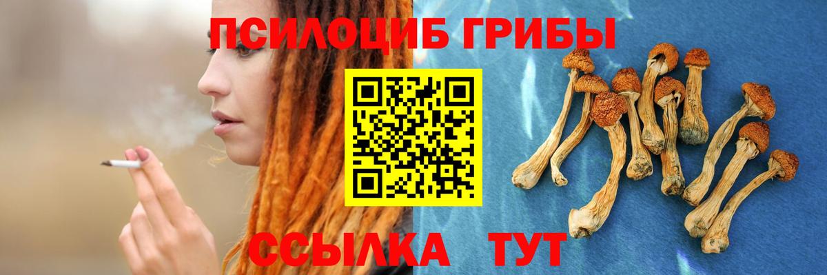 Галлюциногенные грибы мицелий Боровичи